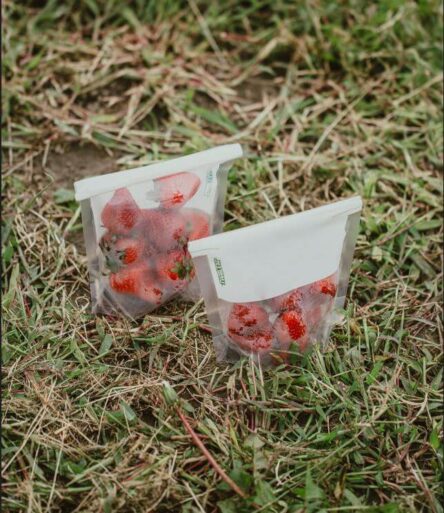 Strawberries in two bags on grass